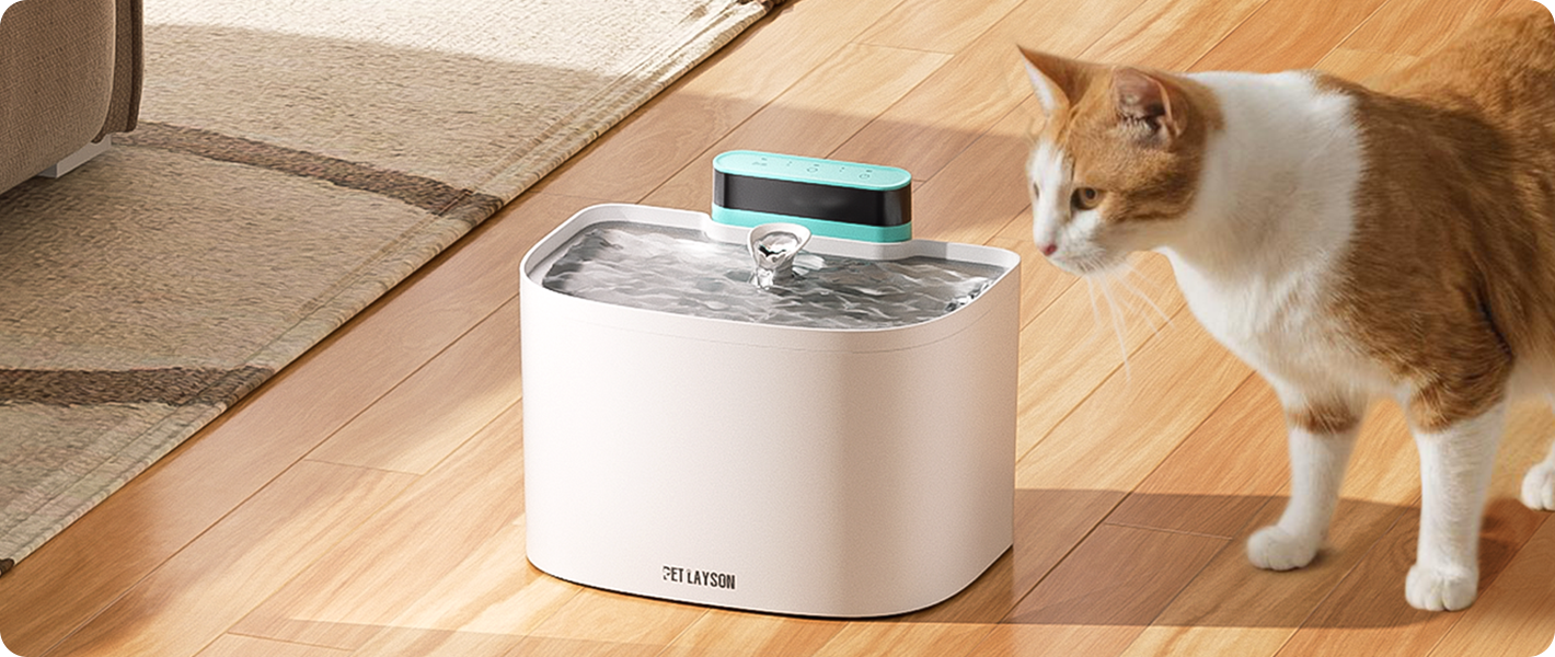 图层 1 拷贝 2.png